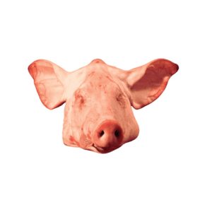 Cabeza de Cerdo